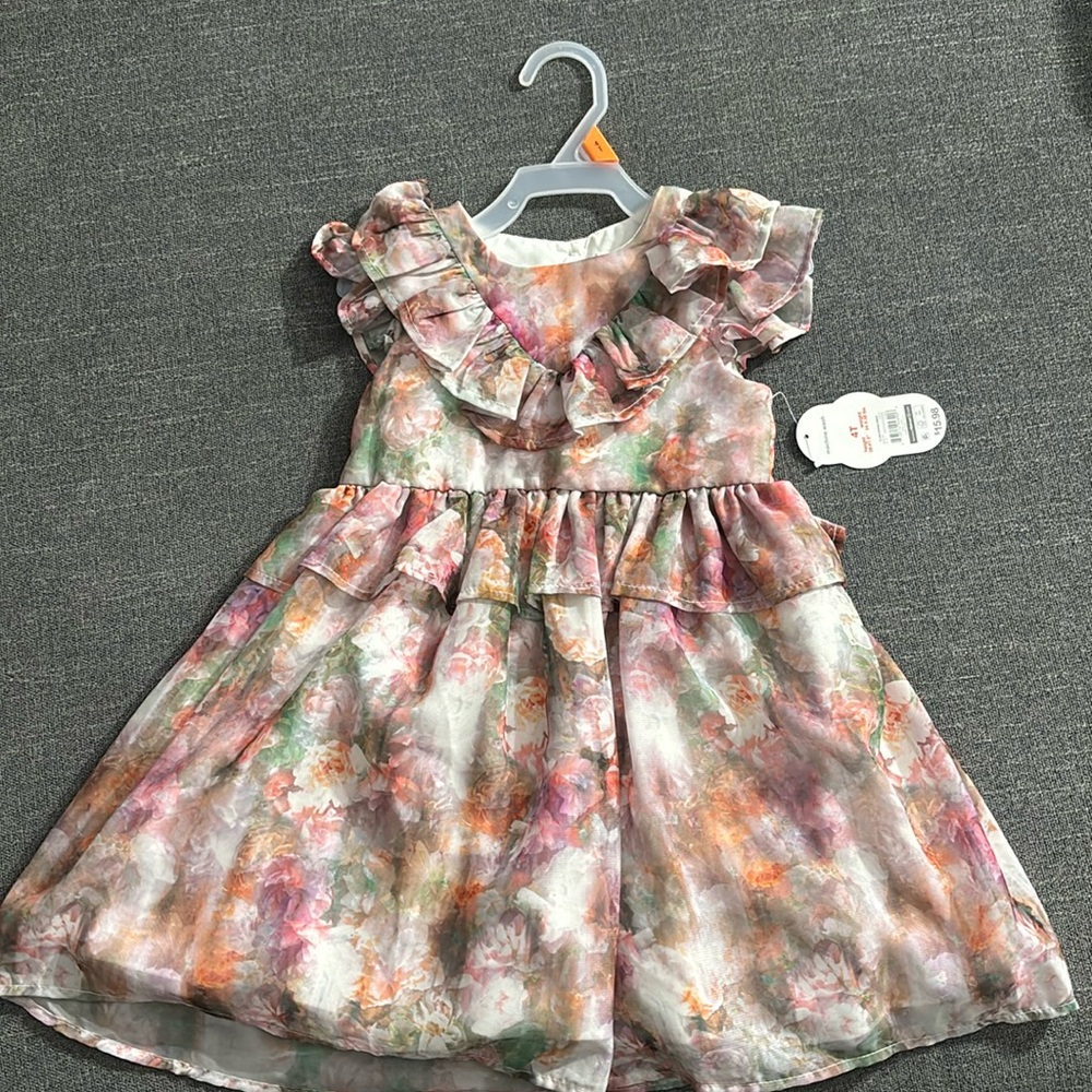 Baby Girl Multi Floral/Color Dress